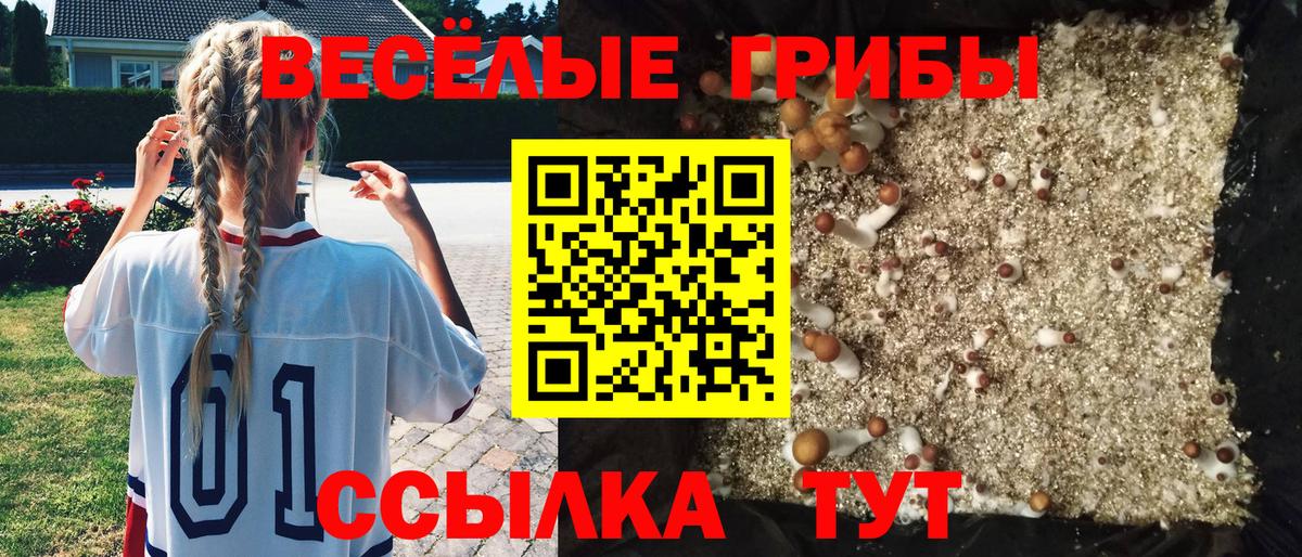 Галлюциногенные грибы мицелий Саранск