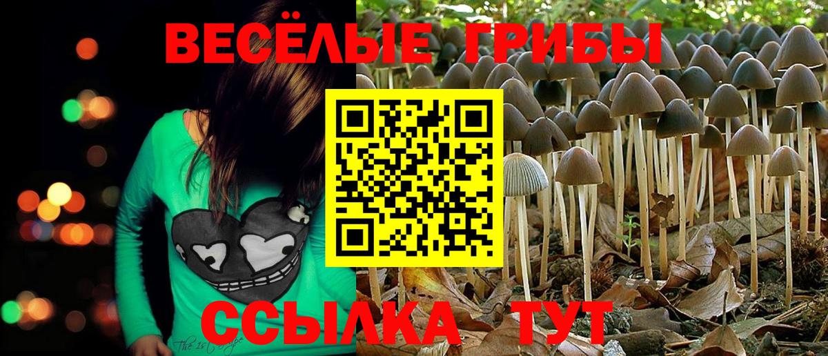 Саранск  Псилоцибиновые грибы ЛСД  Галлюциногенные грибы ЛСД  Вход с VPN 